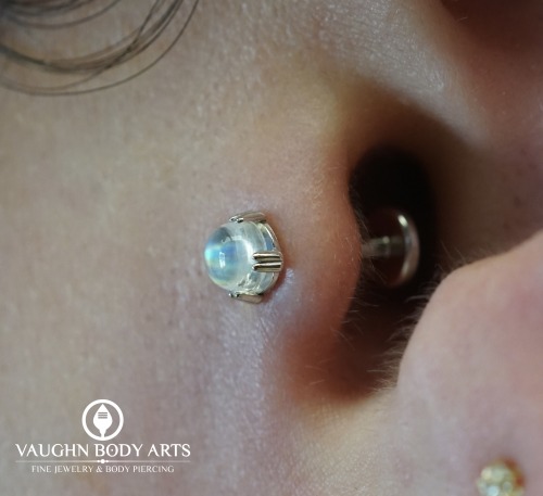 A lovely tragus piercing Vaughn recently got to do for Alexandria. Alexandria ordered a set of stunn