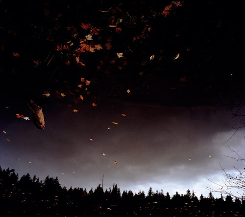 untrustyou:  Kelli Pennington