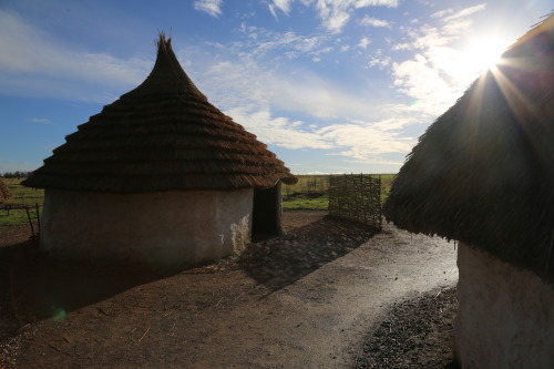 Neolithic Housing, Stonehenge, 28.1.17.