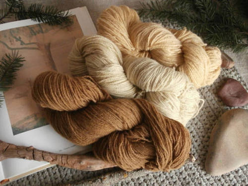 Natural Plant Dyed Yarn // BlueWoolStudio