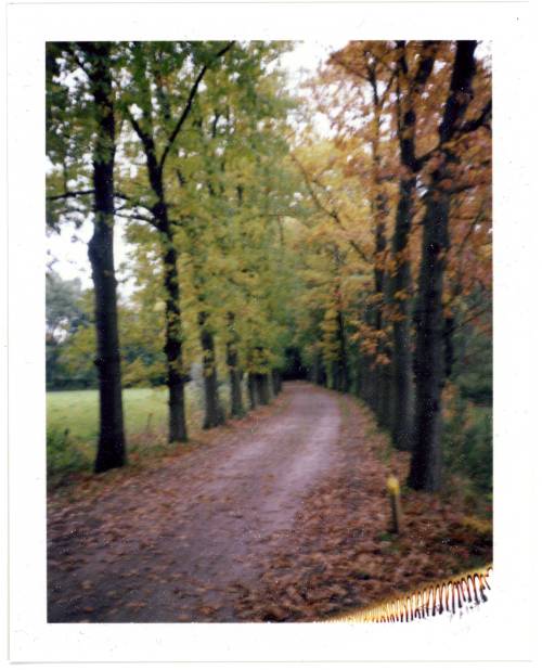 camera: Polaroid EE100http://maximalanders.de/FlickrFacebook