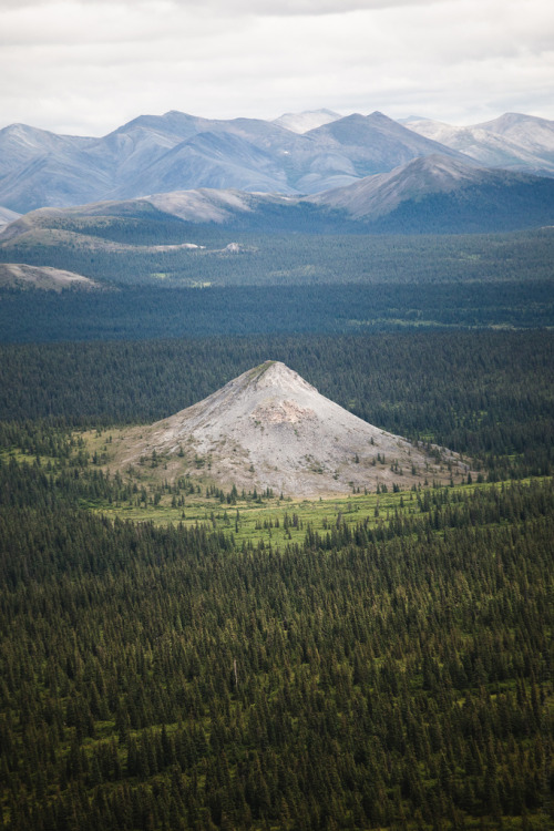 voiceofnature:The lonely mountain