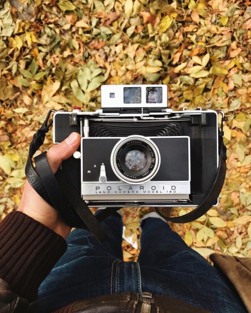 Falling into Polaroid week like&hellip; #legacyshooters  www.instagram.com/p/BpPTVdFnZtj