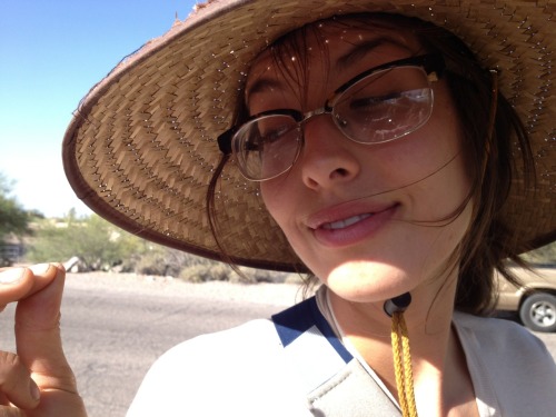 Harvesting Cholla buds. 1. Wander the desert until you find cholla, buckhorn and staghorn are excell