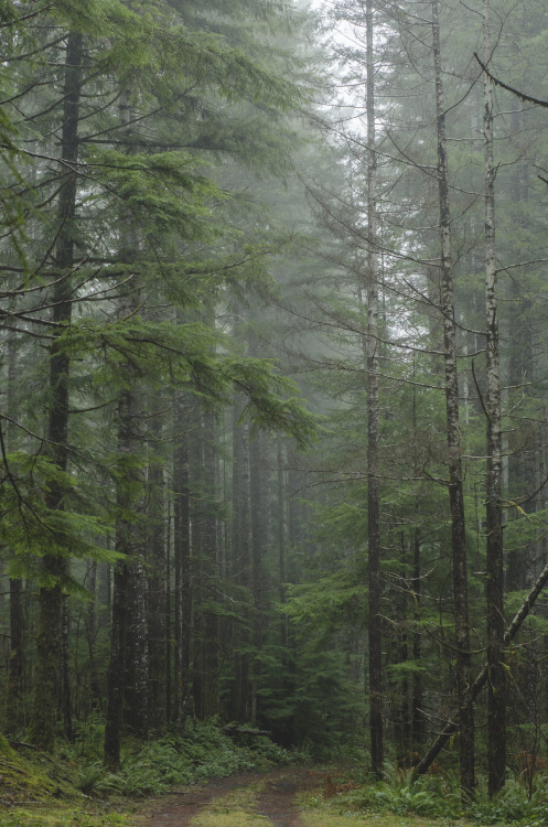 millivedderphotography: January WoodsFlickr|Facebook|Tumblr