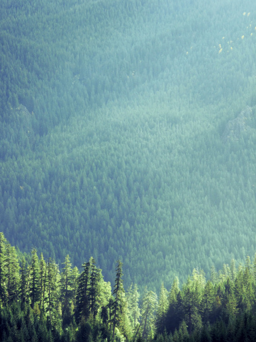 unwrittennature:  (by Delaney Allen)