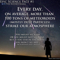 the-science-llama:  Every day, on average,