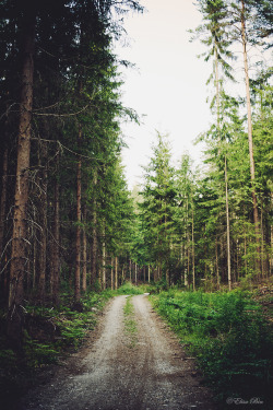 adessodovesei:  decepticun:  Untitled | by Elisa