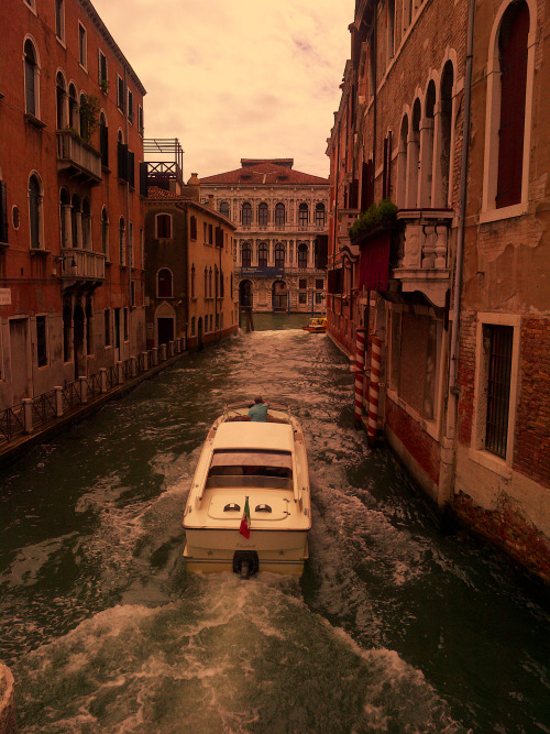 tepitome:Venice, Italy. 2016.