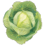 excaliburcabbage