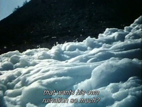 oxigenio-dapalavra:  Narcisz & Psyche (Gabor Body, 1980) 