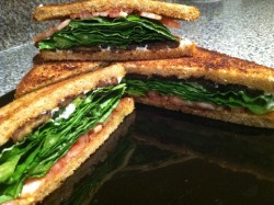 urbancheff:  Vegan BLT on whole wheat with tempeh bacon and veganaise