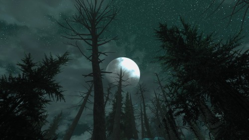 belmontswhip: midnight adventures in Falkreath Hold