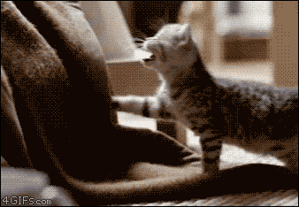 kathifee-world:  ♥
