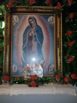 la-cheyenne-negra-s:  La virgencita de Guadalupe