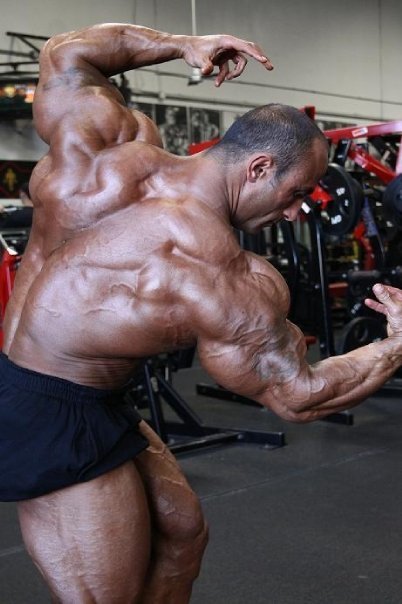 arpeejay:  Moe Bannout 