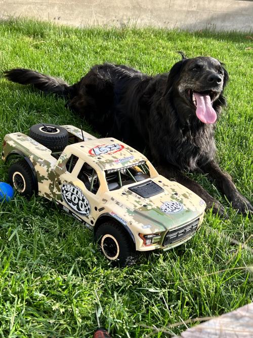 I think this RC car is her new best friend.