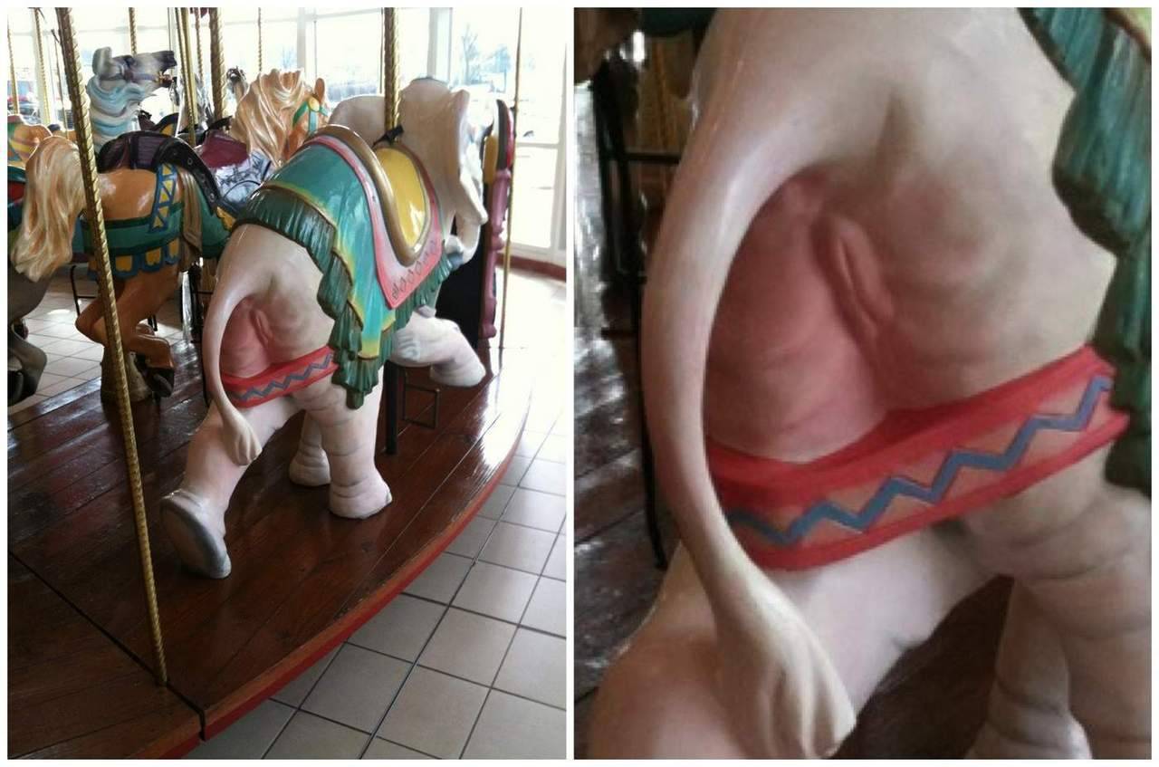 oddersite:  Join the elephant ride!