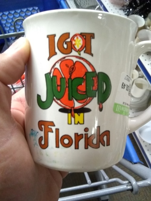 uglythrifthing: thehorrorsofgoodwill: What does that even mean? they got juiced in florida