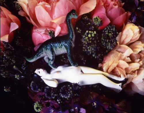 wouwiuwa: Nobuyoshi Araki /// Flowers 1985-2008