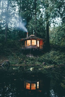 alecsgrg:  The Stump House | ( by Dylan Furst