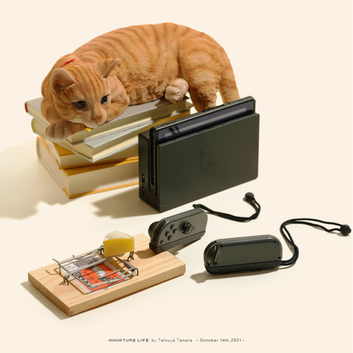 Mouse Trap by Tatsuya Tanaka ニンテンドー チュイッチ cat and mouse game