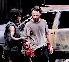 reedusgif:  ► reedusgif’s cute reedus gifs [∞/?]