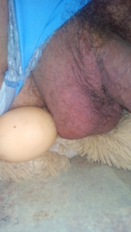 Porn photo Sissyschwein Kuschelzeit