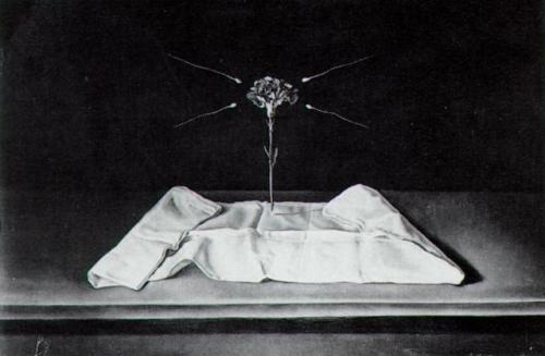 salvadordali-art:  Mystical Carnation, 1951 Salvador Dalí 