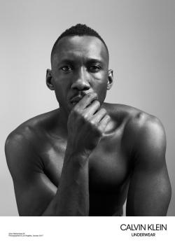 celebsofcolor:Mahershala Ali for Calvin Klein