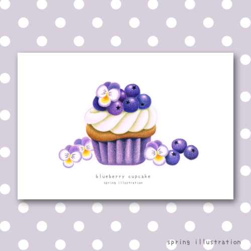 ポストカード ブルーベリーカップケーキ スイーツのイラストポストカード 15 Spring Spring Illustration