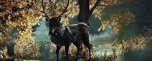 queenofwishes:I can see you now.