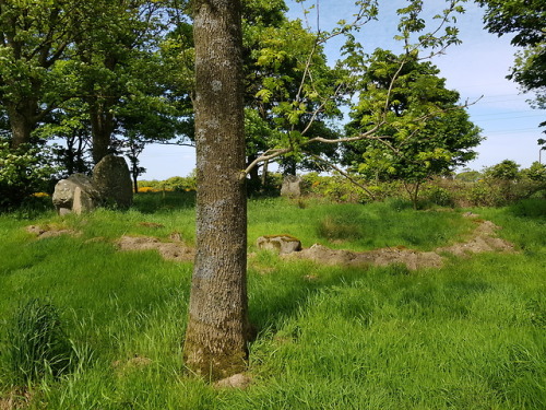 Berrybrae Recumbent Stone Circle, nr Fraserburgh,Scotland, 29.5.18. A beautifully located circle tha