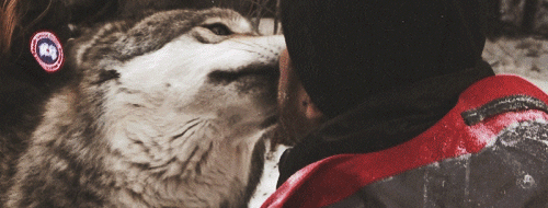 marielikestodraw:  nyenoi:  the bourne legacy behind the scenes  Well, finish me
