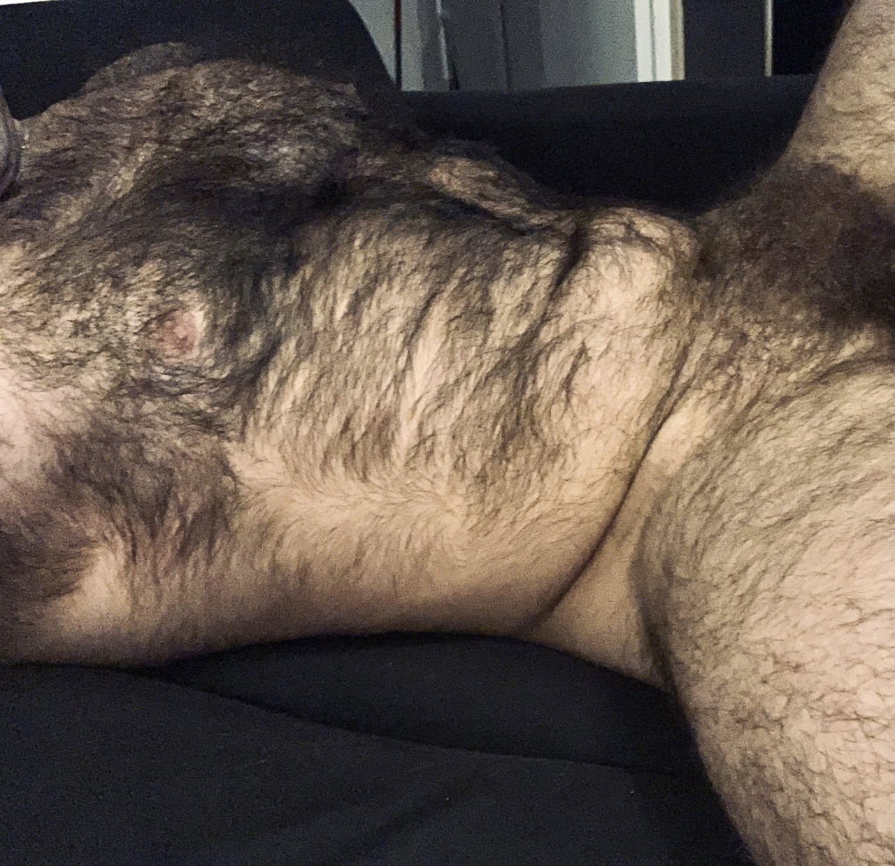 hairyobsessionss:BBB BIG BEEFY BEAST https://hairyobsessionss.tumblr.com/Tumblr