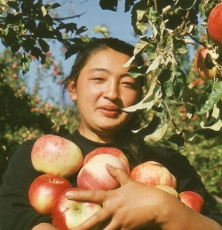 sovietpostcards: Apple picking near Alma-Ata