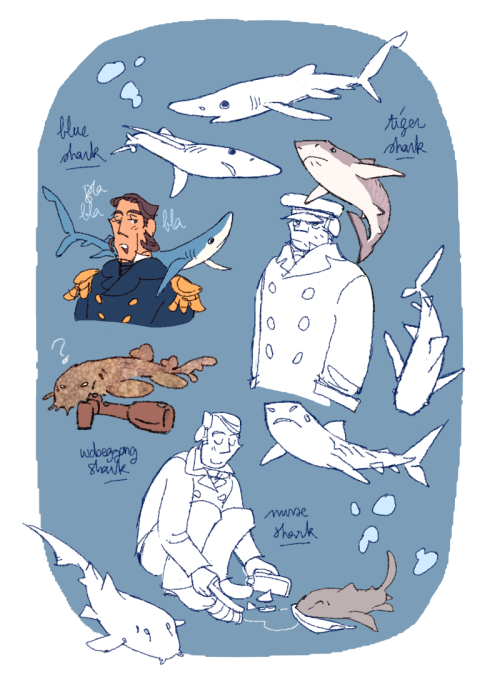vandrawsing:Terror but they all have tiny shark familiars… the silliest yet most adorable AU 