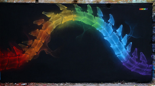 Rainbow X-Rays by Shok Oner