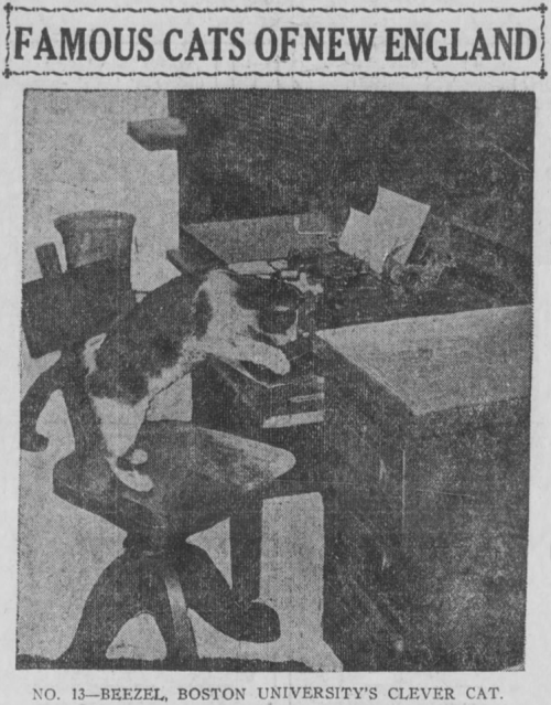 yesterdaysprint:Boston Post, Massachusetts, December 21, 1920