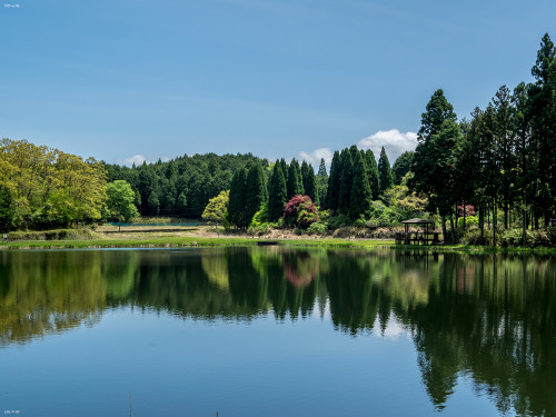 先日のことではございますが、恒例のメンツで撮影会へと洒落込んできましたの。今回も安心と信頼の@masachiさんプロデュースコース、まずは龍王ヶ淵からでございます。前日までの雨が嘘のようにええ天気でご