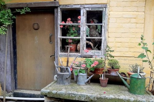 Plants and gardening, Base Lane Cottage, near Gloucester