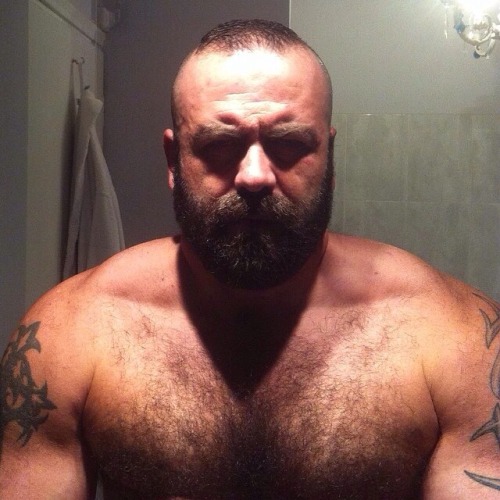 Sex gymbear3200:  fuzzybearhug:  denverdaddydawg: pictures