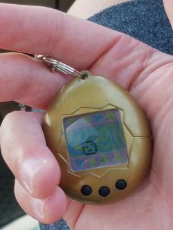 lolfactory:  Told my fiancé I wanted a baby last night. Woke up this morning and he handed me this saying here you go…  funny Tumblr ☆ Facebook ☆ Twitter ☆ follow  [this funny picture via lolsnaps]