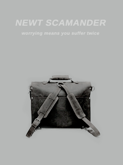 rosetylecr:   character posters: newt scamander (fantastic beasts)