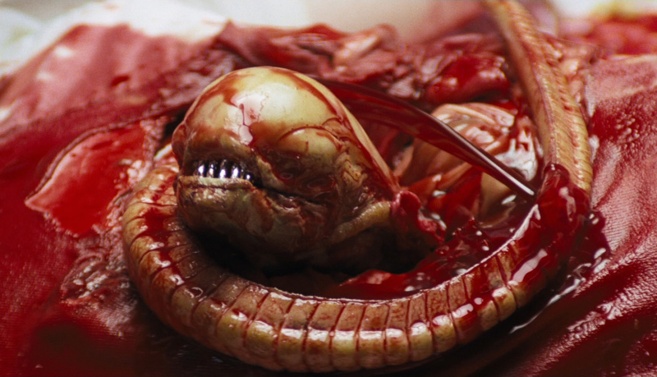machineraptor:  Aliens &lt;3 