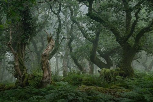 HESITATION! By Nick Green