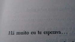 Ter fé e ver coragem no amor