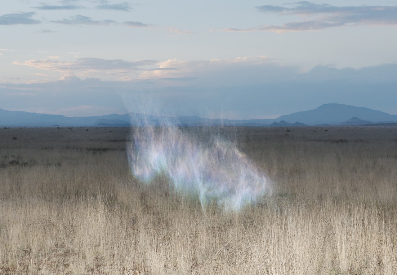 lafilleblanc:  Inka &amp; Niclas Lindergård Becoming Wilderness, 2013-2014 