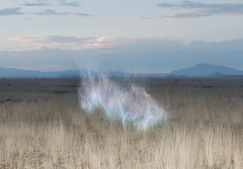 lafilleblanc:  Inka & Niclas Lindergård Becoming Wilderness, 2013-2014 