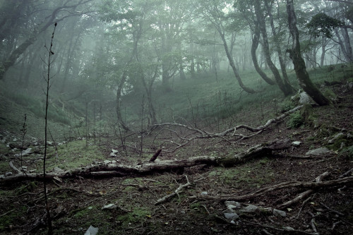 Mt.Oike / Mie Prefecture by Seiuchi F